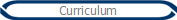 Curriculum