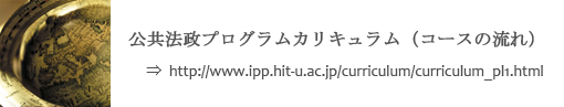 公共法政プログラムのカリキュラム（コースの流れ）へのリンク